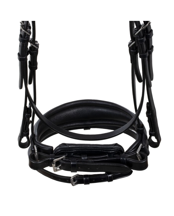 STARRY NIGHT ANATOMIC LEATHER BRIDLE