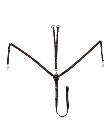 CONTRAST RAISED BREASTPLATE
