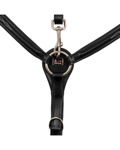 CONTRAST RAISED BREASTPLATE