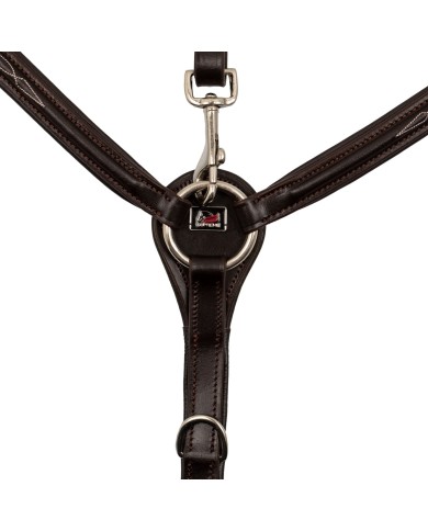 CONTRAST RAISED BREASTPLATE