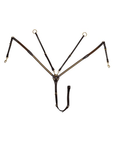 PETTORALE MODELLO BRASS CLINCHER
