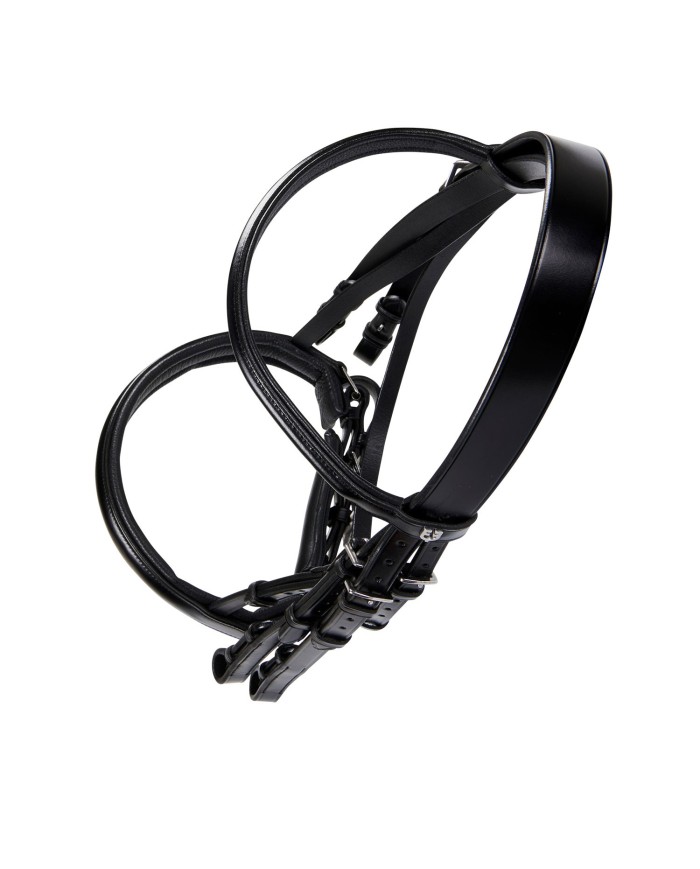 BRIGLIA MODELLO DRESSAGE