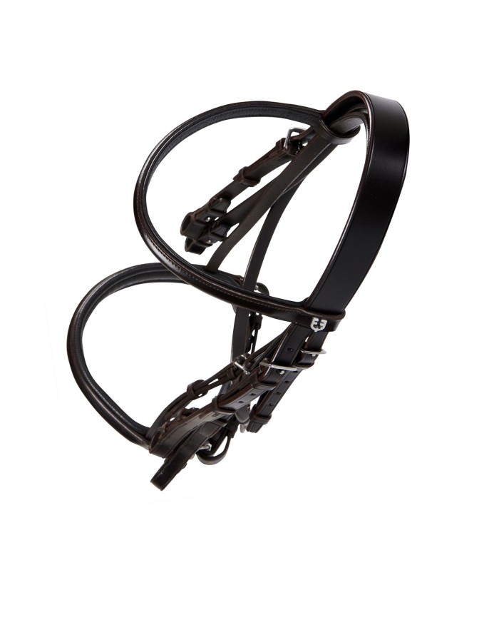 BRIGLIA MODELLO DRESSAGE