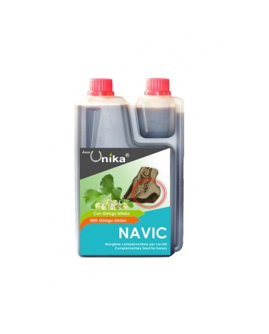NAVIC (1.25 LT) lotto 122/21 scad.02/2023