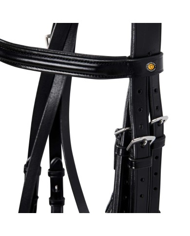 BRIGLIA MODELLO DRESSAGE NEW
