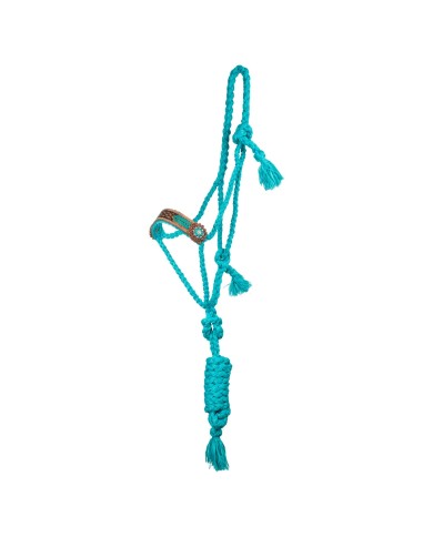 ROPE HALTER WITH TOOLED LEATHER NOSEBAND