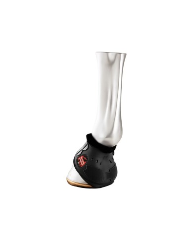 PARAGLOMI CARBON AIR