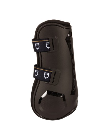 PARATENDINI EQUESTRO EVOLUTION new