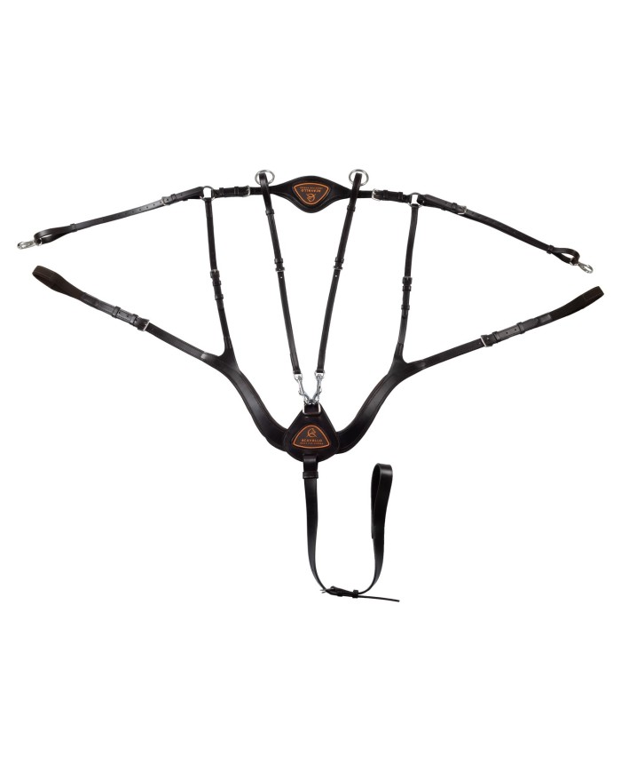 ANATOMICAL LEATHER 5 POINT ATTACHMENT BREASTPLATE