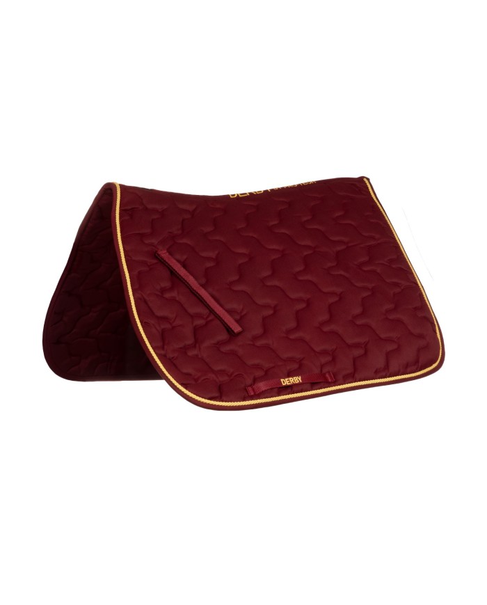 SOTTOSELLA C/CORDONE PONY DERBY