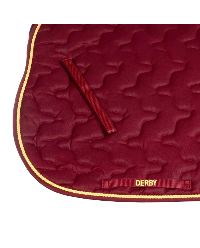 SOTTOSELLA C/CORDONE PONY DERBY
