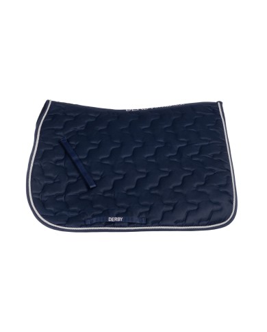 SOTTOSELLA C/CORDONE PONY DERBY