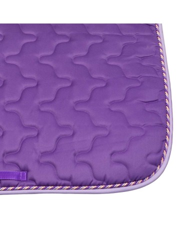 SOTTOSELLA C/CORDONE PONY DERBY