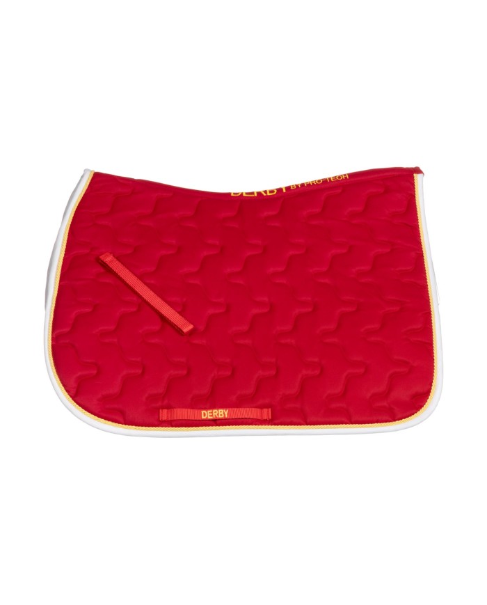 SOTTOSELLA C/CORDONE PONY DERBY