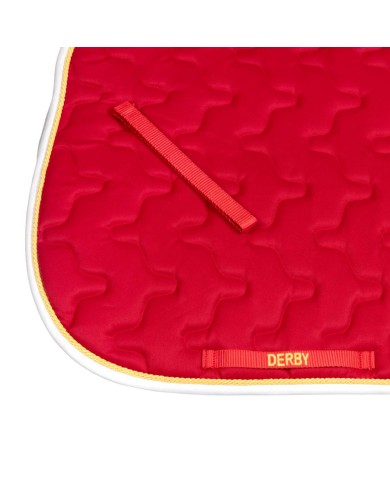 SOTTOSELLA C/CORDONE PONY DERBY