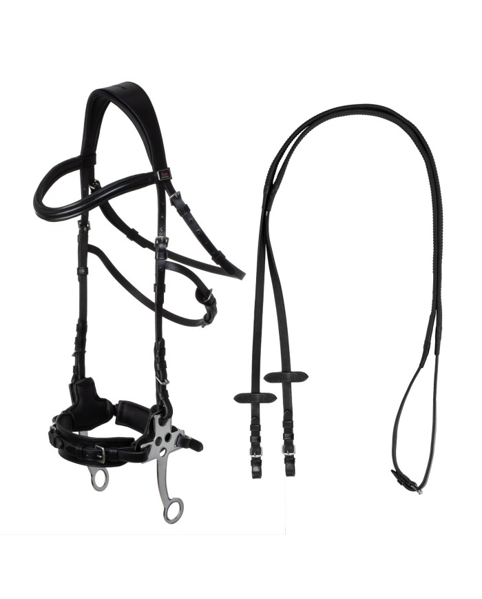 HACKAMORE BRIDLE