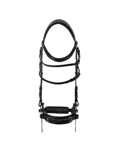 HACKAMORE BRIDLE