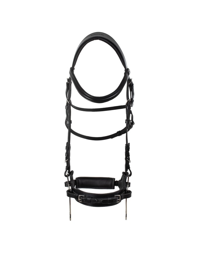HACKAMORE BRIDLE