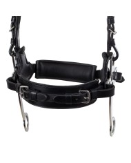 HACKAMORE BRIDLE