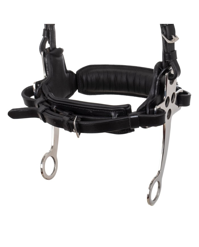 HACKAMORE BRIDLE