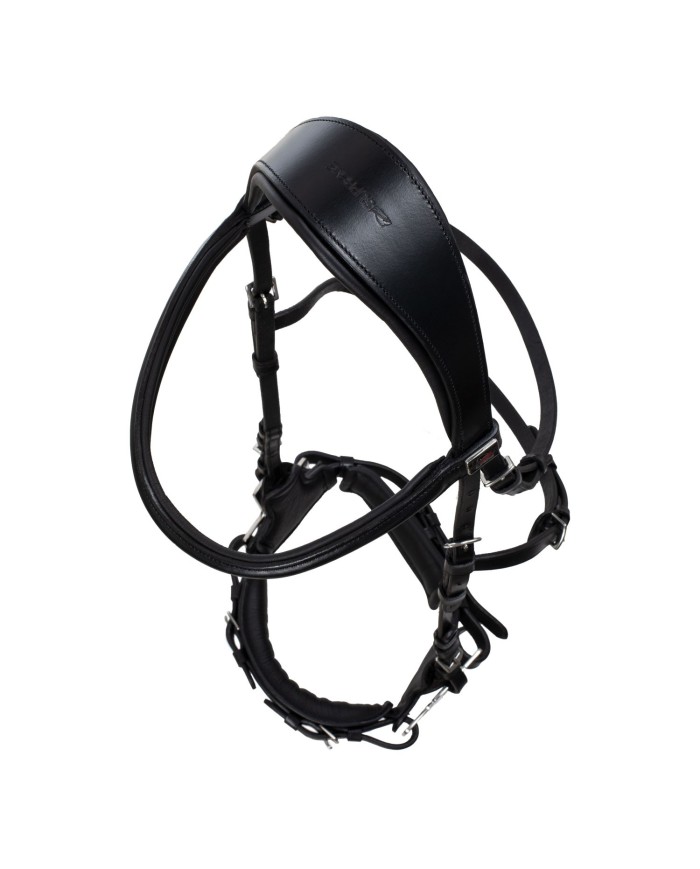 HACKAMORE BRIDLE