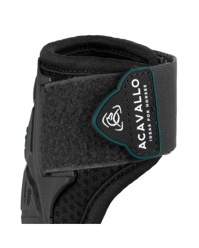 SKELETON DYNAMIC ZONE FETLOCK
