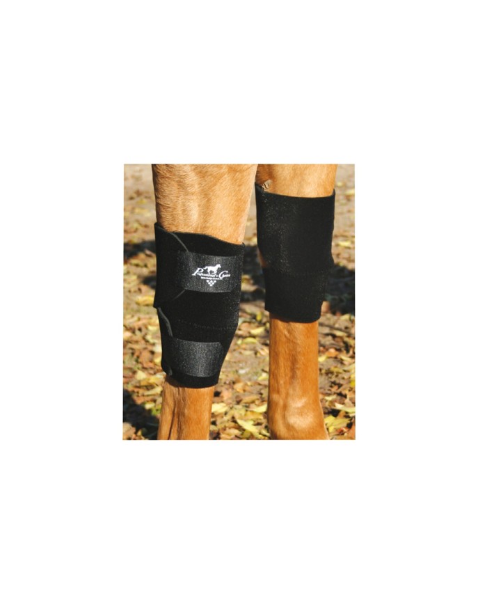GINOCCHIERE CAVALLO PROFESSIONAL S CHOICE KB101