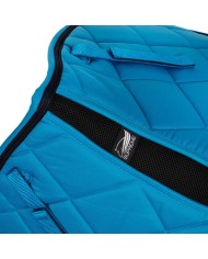 SOTTOSELLA DRESSAGE