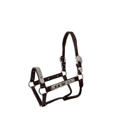 CAVEZZA POOL S ARGENTI ELHT/00935