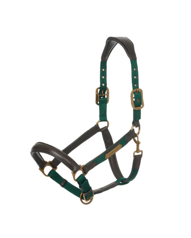 CAPELLA HEADCOLLAR SPRUCE