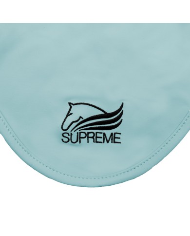 PLEASURE FLY VEIL