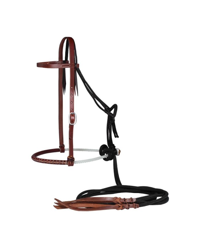 RANCH JR HORSE HORSE LOPING HACKAMORE