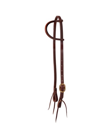 TESTIERA 1 ORECCHIO UNA FIBBIA OTTONE MADE IN USA POOL S