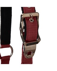 CAVEZZA EQUESTRO C/LUNGHINA MODELLO SHINY FITTINGS