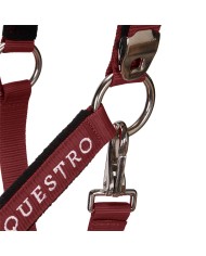 CAVEZZA EQUESTRO C/LUNGHINA MODELLO SHINY FITTINGS