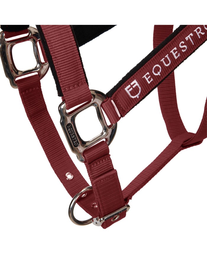 CAVEZZA EQUESTRO C/LUNGHINA MODELLO SHINY FITTINGS