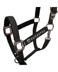 CAVEZZA EQUESTRO C/LUNGHINA MODELLO SHINY FITTINGS