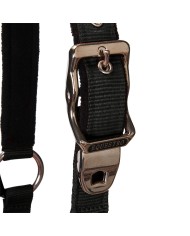 CAVEZZA EQUESTRO C/LUNGHINA MODELLO SHINY FITTINGS