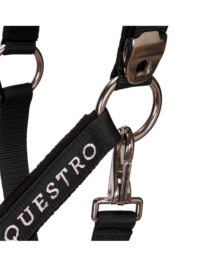 CAVEZZA EQUESTRO C/LUNGHINA MODELLO SHINY FITTINGS