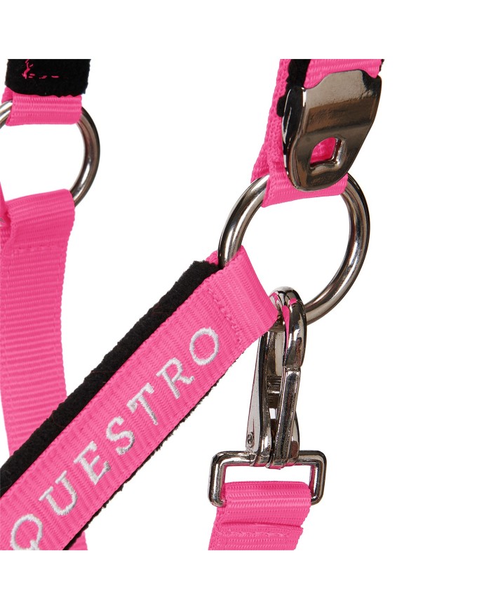 CAVEZZA EQUESTRO C/LUNGHINA MODELLO SHINY FITTINGS