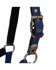 CAVEZZA EQUESTRO C/LUNGHINA MODELLO SHINY FITTINGS