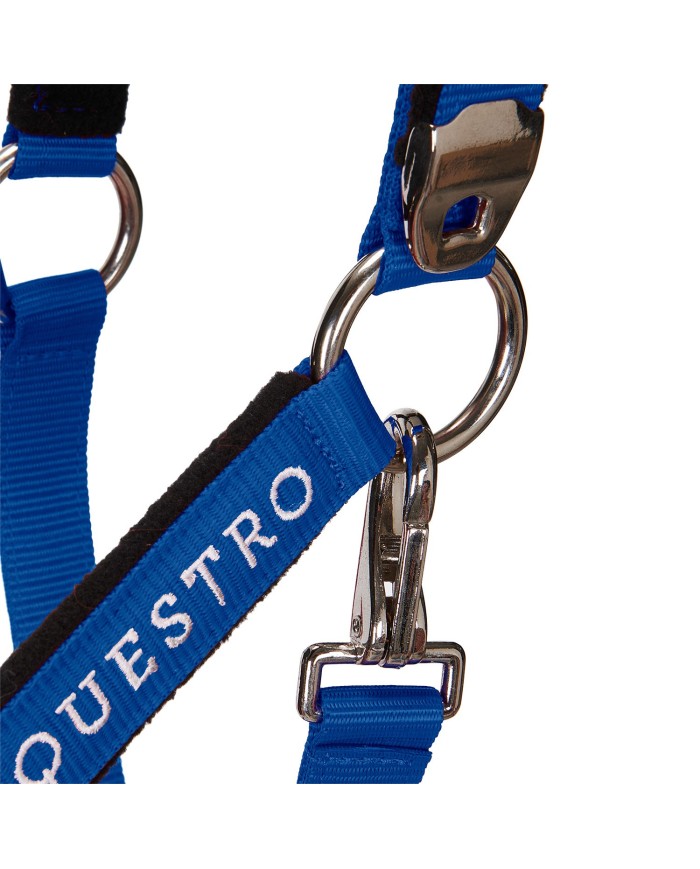 CAVEZZA EQUESTRO C/LUNGHINA MODELLO SHINY FITTINGS