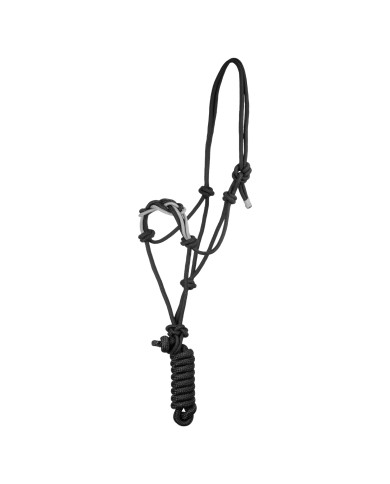 Cavezza con corda intrecciata sulla nasalina Cavezza con corda intrecciata sulla nasalina