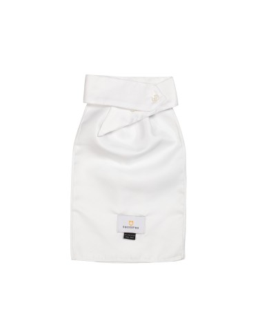 PLASTRON EQUESTROxFISE