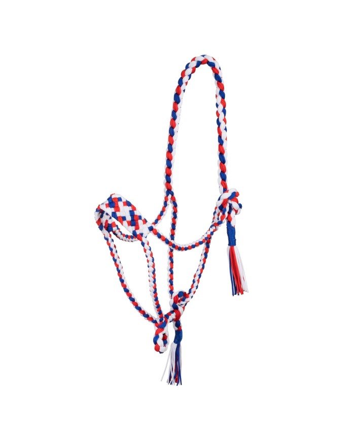 BRAIDED NYLON HALTER