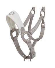 HIGH PERFORMANCE HALTER RUBBER FINISH BUCKLES W/LEADROPE