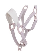 HIGH PERFORMANCE HALTER RUBBER FINISH BUCKLES W/LEADROPE