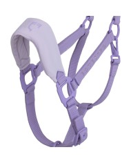 HIGH PERFORMANCE HALTER RUBBER FINISH BUCKLES W/LEADROPE