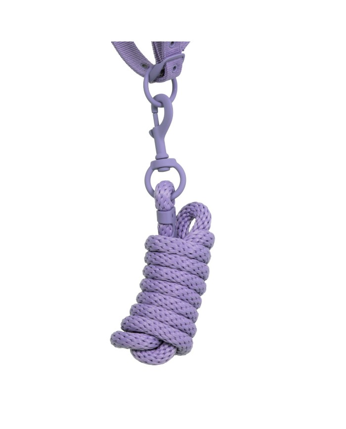 HIGH PERFORMANCE HALTER RUBBER FINISH BUCKLES W/LEADROPE