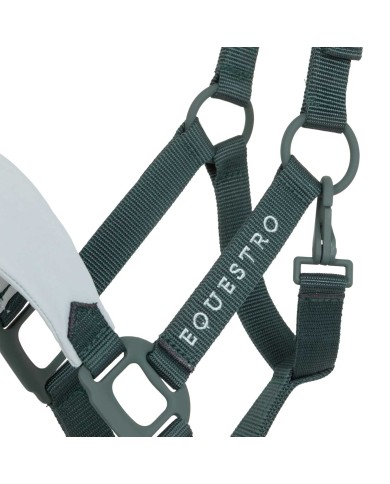 HIGH PERFORMANCE HALTER RUBBER FINISH BUCKLES W/LEADROPE